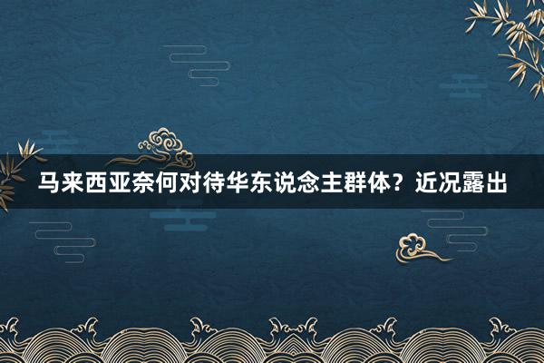 马来西亚奈何对待华东说念主群体？近况露出